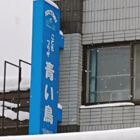 こどもプラザ青い鳥円山園の写真3
