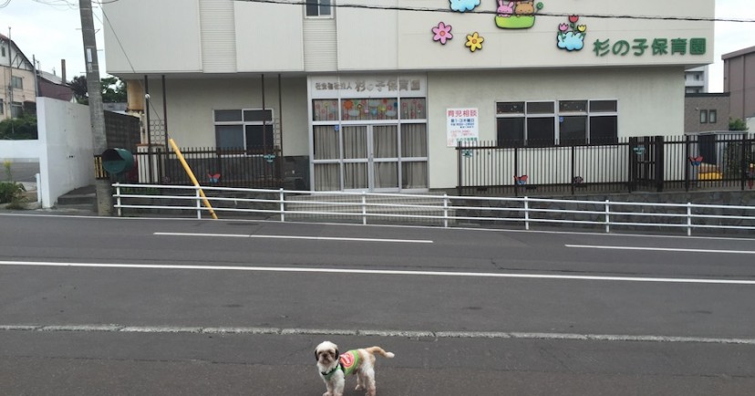 杉の子保育園