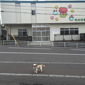杉の子保育園