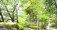 スマイルキッズ江戸川橋保育園