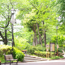 スマイルキッズ江戸川橋保育園の写真4