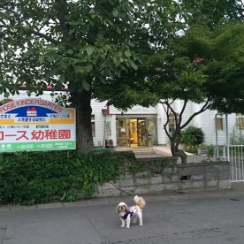 ロース幼稚園