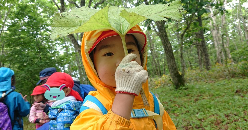 認定こども園　釧路白樺幼稚園