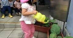 マリー保育園浅草