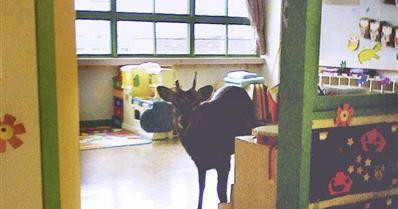 稚内鈴蘭幼稚園