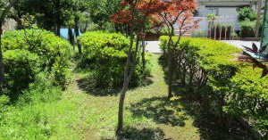 長浦保育園