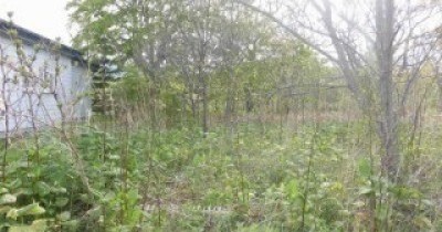 認定こども園　函館市つつじ保育園