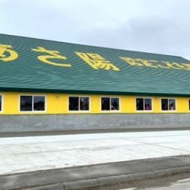 あさ陽認定こども園