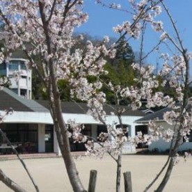 小野幼稚園
