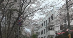 認定こども園めぐみ学園