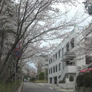 認定こども園めぐみ学園