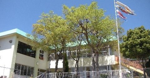 幼保連携型認定こども園　同朋住吉台こども園