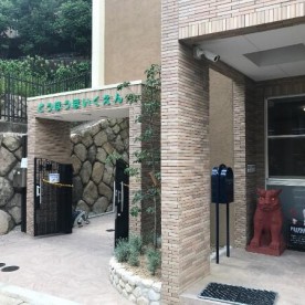 同朋保育園の写真3