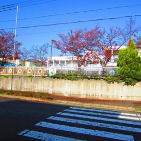 幼保連携型認定こども園　竹の台保育園