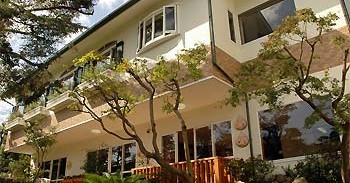 幼保連携型認定こども園大手幼稚園
