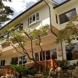 幼保連携型認定こども園大手幼稚園