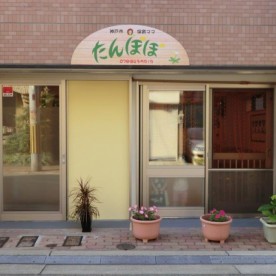 たんぽぽ