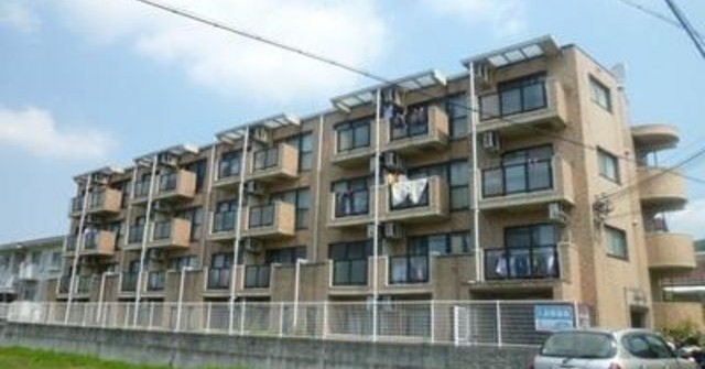 白国保育園