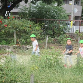 きらきら保育園上の森園