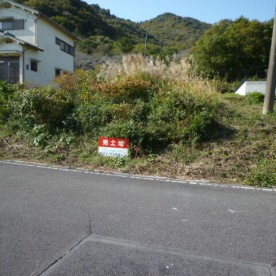 有年幼稚園