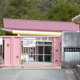 中山五月台幼稚園の写真2