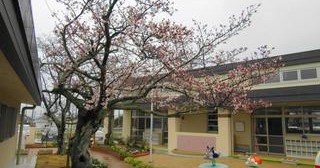 認定こども園高岡育児園