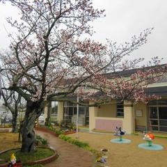 認定こども園高岡育児園の写真2