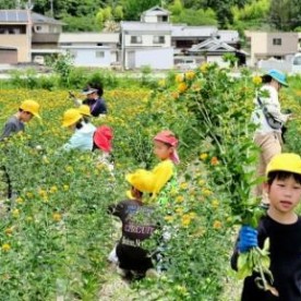河内幼稚園