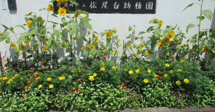 松尾台幼稚園