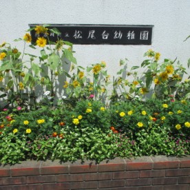 松尾台幼稚園の写真2