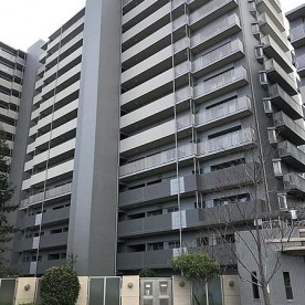 わかば保育園の写真2