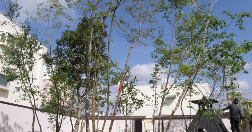 ニコニコ桜今津灯保育園