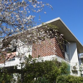 幼保連携型認定こども園　ニコニコ桜保育園