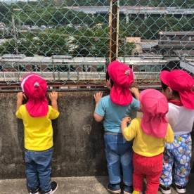 ＡＬＯＨＡ保育園の写真2