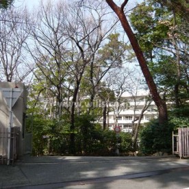 夙川学院短期大学付属幼稚園