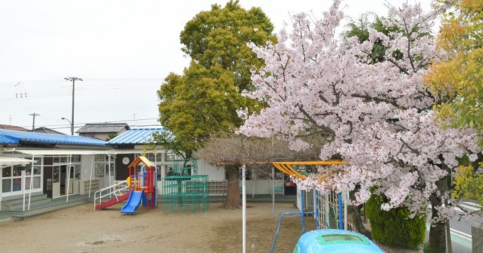 つぼみ幼稚園