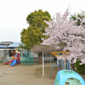 つぼみ幼稚園