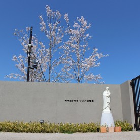 神戸海星女子学院マリア幼稚園の写真2