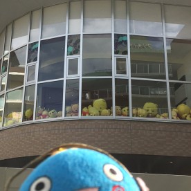 甲子園学院幼稚園
