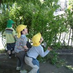 西田保育園の写真5