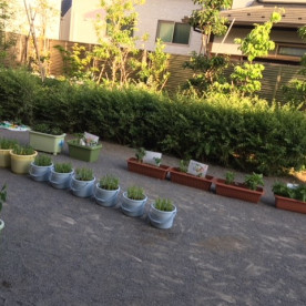 ベネッセ西馬込保育園の写真4