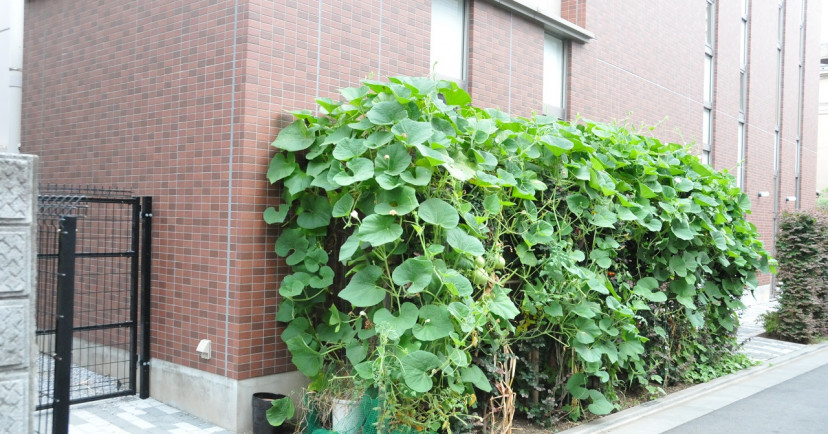 グローバルキッズ西大井園