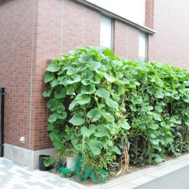 グローバルキッズ西大井園の写真2