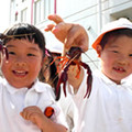 神明町保育園の写真3