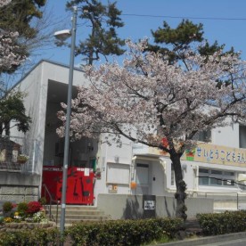 精道こども園