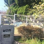 道場幼稚園