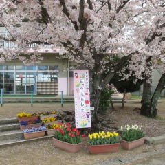 明石市立鳥羽幼稚園
