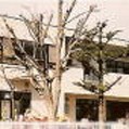 鳥川保育園の写真3