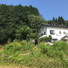 森のほいくえん野の子