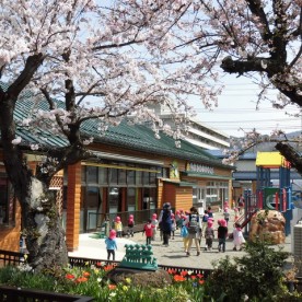 若松第三保育園